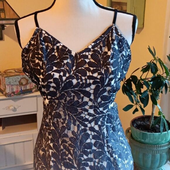 Fashion Nova Lace Ombre Cut-Out Mini Dress. Cocktails, Evening,  Fairycore - Picture 3 of 14